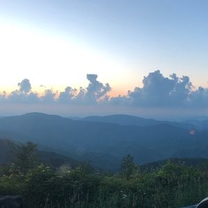 Meet your Posher, Sidney